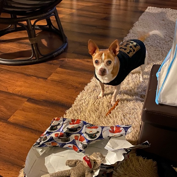 Meet your Posher, Wendy - Picture 4 of 4